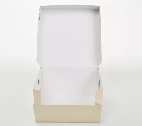 Caja s/Visor Sandwich 25x25x12 910985