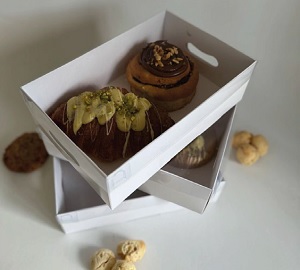 Caja Bandeja c/Tapa Acetato 26x17x8 cm x 5 un